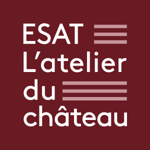 logo ESAT
